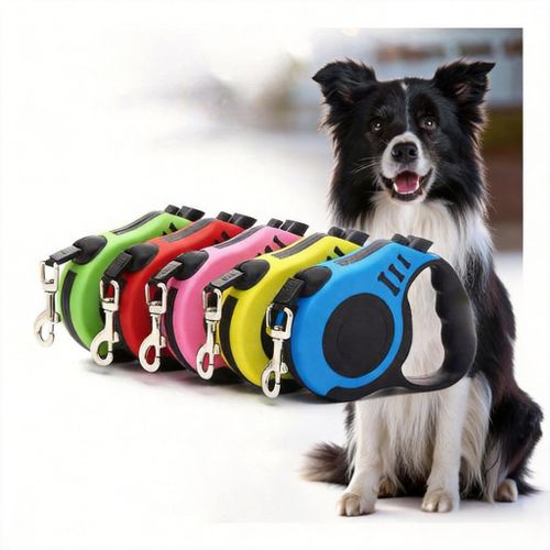 Laisse Rétractable Automatique pour Chien – Robuste, Réglable et Pratique pour les Promenades