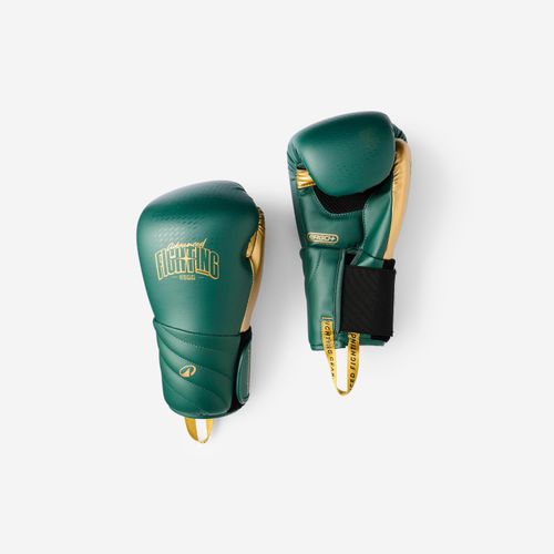 Gants De Boxe - Boxeurs Confirmés - Mousse Monobloc - Vert