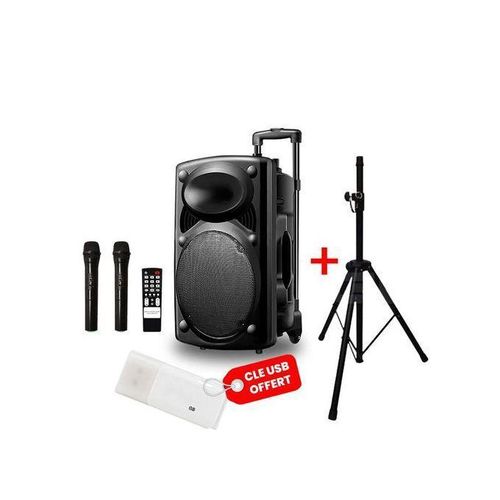 Haut-parleur -D15- Noir + 2 Micros + 1 Télécommande + 1 Trépied Offerts Garantie 12 Mois