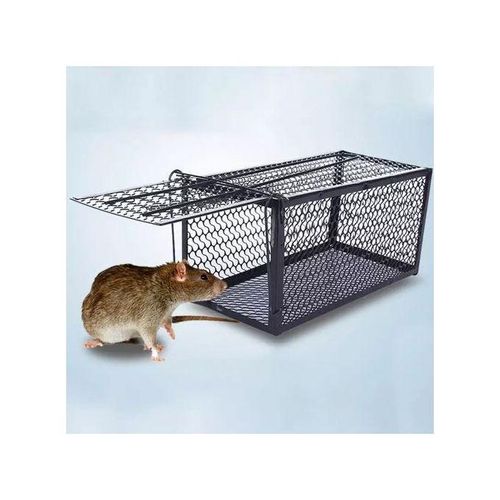 Piège À Souris Cage