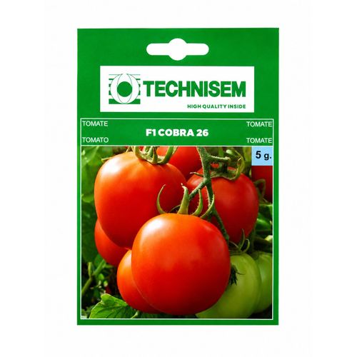 Semence Tomate F1 COBRA 26 – Technisem 5 g La reine des tomates tropicales