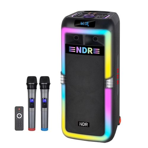 Enceinte home cinéma professionnelle NDR-1708