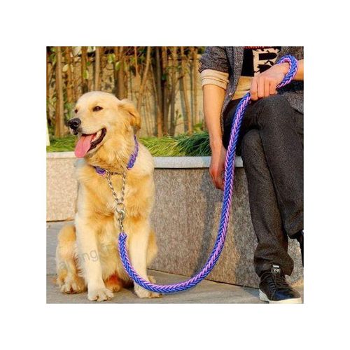 Laisse Pour Chien natté