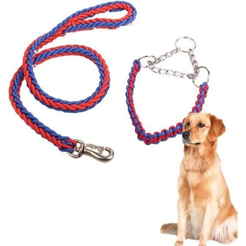 Corde de Sécurité pour Chien – Laisse et Collier Tressés Haute Résistance – Rouge et Bleu