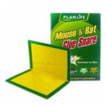 Generic Piège à Souris Super Colle - image 3