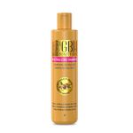 Gbh Lot de 2 Shampooings Gbh Lissant 400 Ml - image 2