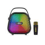 Élégant haut-parleur de karaoké portable avec microphone