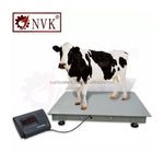 product_image_name-Constant-Balance Plate-forme Electronique 1Tonnes Afficheur A12E-5