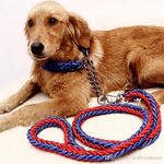 Agréable Laisse Chien Natté Str