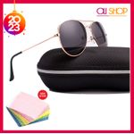 Lunette  Style AVIATOR Vintage + Etui & Essui Offert