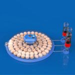 Genetic Couveuse automatique 80 œufs