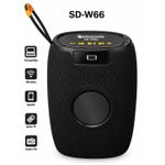 Enceinte SD-W66