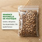 Semence naturelle de Pastèque - 655 graines