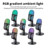 Basix USB Condenser Microphone Gaming Microphone For PC Computer Streaming Video Podcasting Studio Recording - image 4