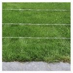 Generic Fil Barbelé Rouleau 100 Mettre - image 2