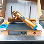 Puissant Micro Baladeur Shure 