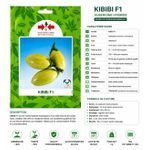 Generic Graines d’Aubergine KIBIBI F1 – Hybride – 5 g - image 2