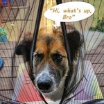 product_image_name-Generic-1 Paquet De Porte Moustiquaire Magnétique, Porte Moustiquaire Auto-obturante, Fermeture Magnétique Résistante Pour Empêcher Les Insectes D'entrer, Porte Moustiquaire Rétractable En Maille Porte Moustiquaire Coulissante-6