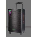 Leadder Bluetooth Trolley Speaker SP-803 - 1 Micro sans fil- BT/USB/FM - 40W