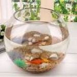 product_image_name-Generic-Vase Bocal à Poissons. Mini Aquarium-1