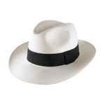 product_image_name-Generic-Chapeau Panama Gamboa Paine Towers - Gambler BG-1