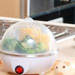 product_image_name-Generic-Chaudière à œufs multifonctionnelle mini machine de petit déjeuner chaudière à œufs rapide-4