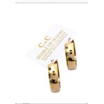 Boucle D' Oreille Chic Dame