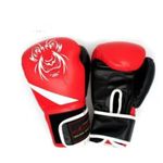 Gants de boxe 