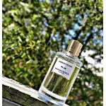 Mancera AMBER FEVER - PARFUM MANCERA UNISEXE