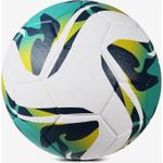 Ballon de football professionnel