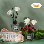 Generic Diffuseur de Parfum d’Ambiance avec Bâtonnets – Parfum Maison Élégant, Longue Durée & Décoration Chic - White Tea