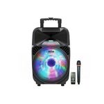 product_image_name-Generic-Baffle Amplifier Loudspeaker - 2 Micros-2