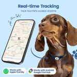 Gm AirTag Traceur GPS Collier pour Animaux Chien,Chat – Compatible Apple et Android