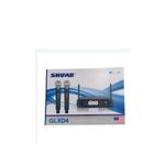Micro baladeur GLX D4