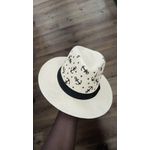 Fashion Chapeaux Panama Classique Pour Hommes - image 2