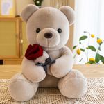 Generic Ours en Peluche 25 cm avec Rose