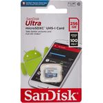 SanDisk carte mémoire 256GB MicroSD - Class 10