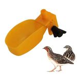 Generic Lot De 100 Abreuvoirs Pipette Pour Caille