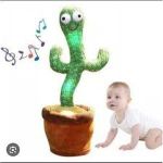 Gn Cactus 