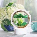 product_image_name-Generic-Lampe De Paysage De Sable LED-1