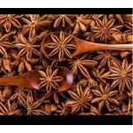 Gn anis étoilé Naturel 100g