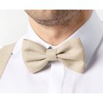 Nœud papillon Homme