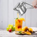 Generic Fruit Press