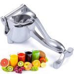 Generic Fruit Press - image 3