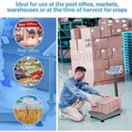 product_image_name-Generic-Balance Electronique Commerciale électronique 0.05-150kg-4