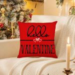 product_image_name-Generic-Pieces(4) CoussinsCoussins Saint-Valentin Amour  KD4545-013-0708-2
