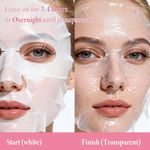 Generic 10 masques visage