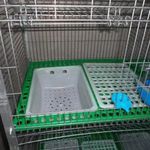 product_image_name-Generic-Cage à Nid Ou Nichoir De Lapin 40x50 Cm-1