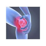 product_image_name-Generic-Genouillère De Soutien-3