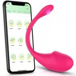 product_image_name-Generic-Vibromasseur Rechargeable USB avec Télécommande APP – Double Moteur, Bluetooth, Stimulation Point G, Culotte Vibrante Sans Fil pour Femmes-1